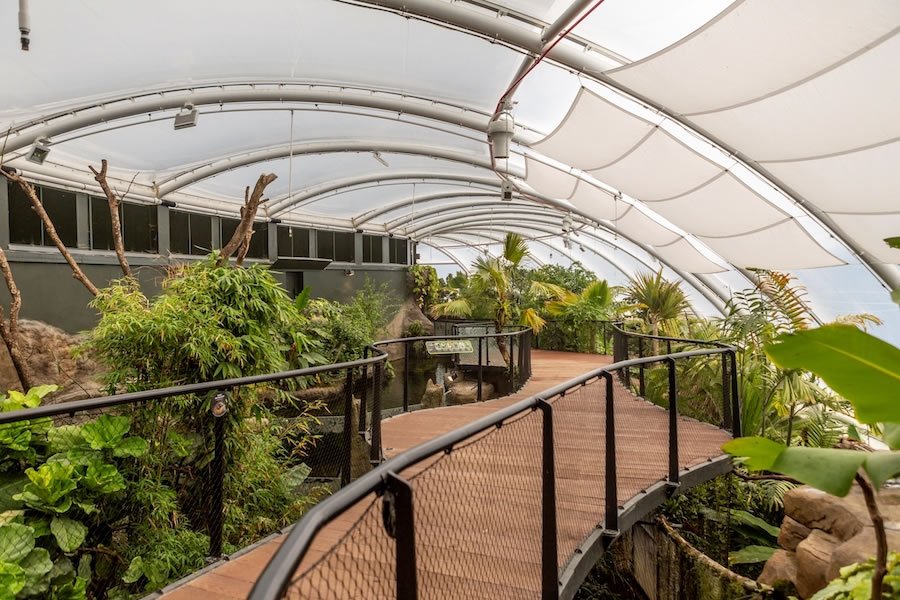 Marwell Zoo Tropical House – Future Towns Innovation Hub